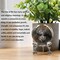 3D Tree of Life Crystal Ball with Stand Laser Engraved Glass Ball Tree of Life Decor Decorative Globes 3D Crystal Plant Sphere Gifts for Her Birthday